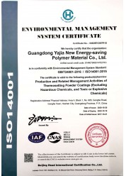 （英文）环境管理体系认证证书